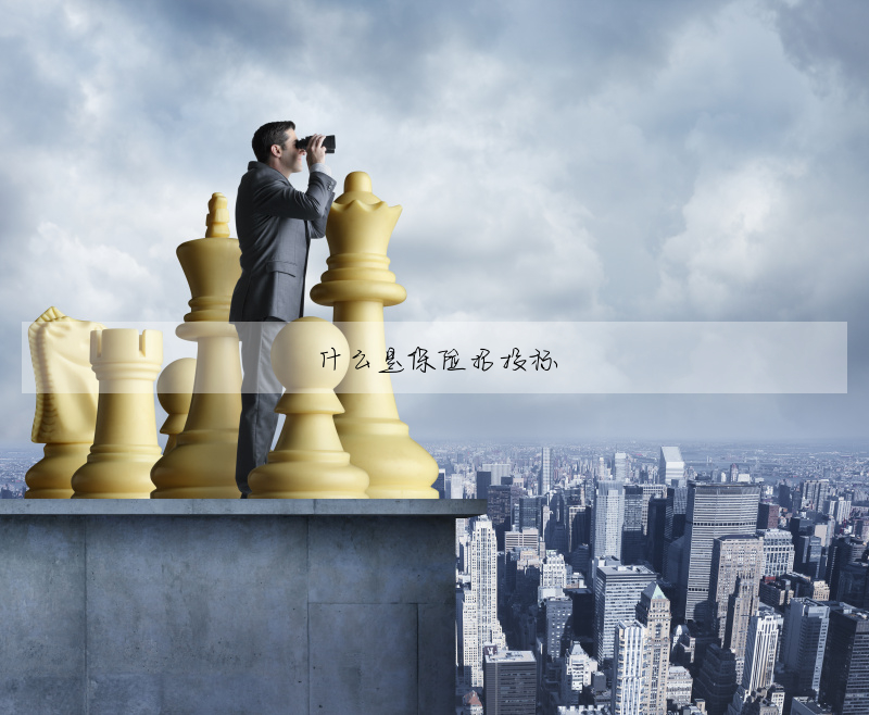 什麼是保險招投标