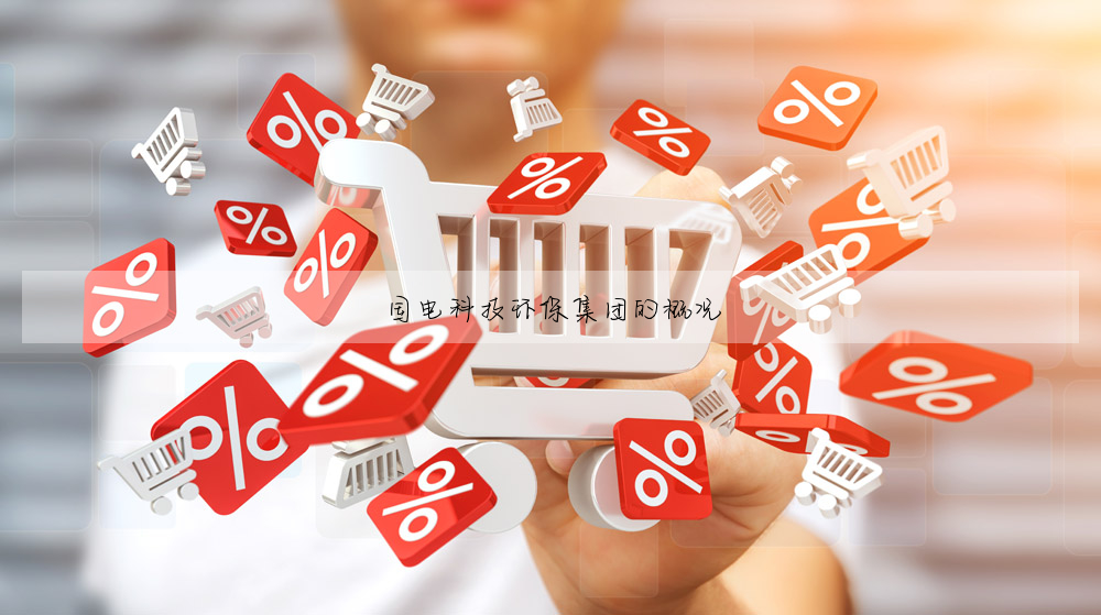 國電科技環保集團的概況