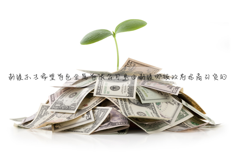 新疆東方希望有色金屬有限公司是由新疆哪級政府招商引資的