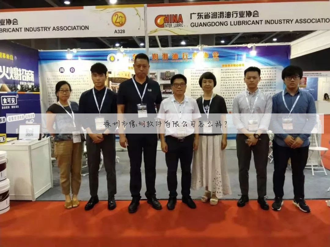 深圳市德润软件有限公司怎么样?