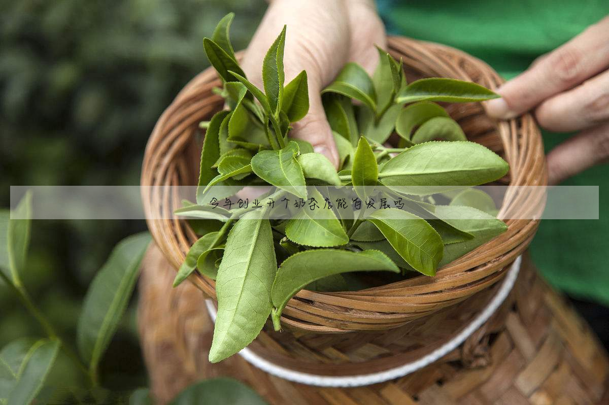 今年創業開個奶茶店能有發展嗎