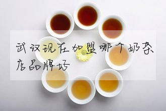武漢現在加盟哪個奶茶店品牌好