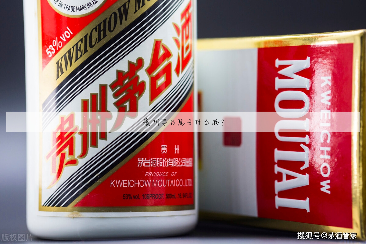 贵州茅台属于什么股?