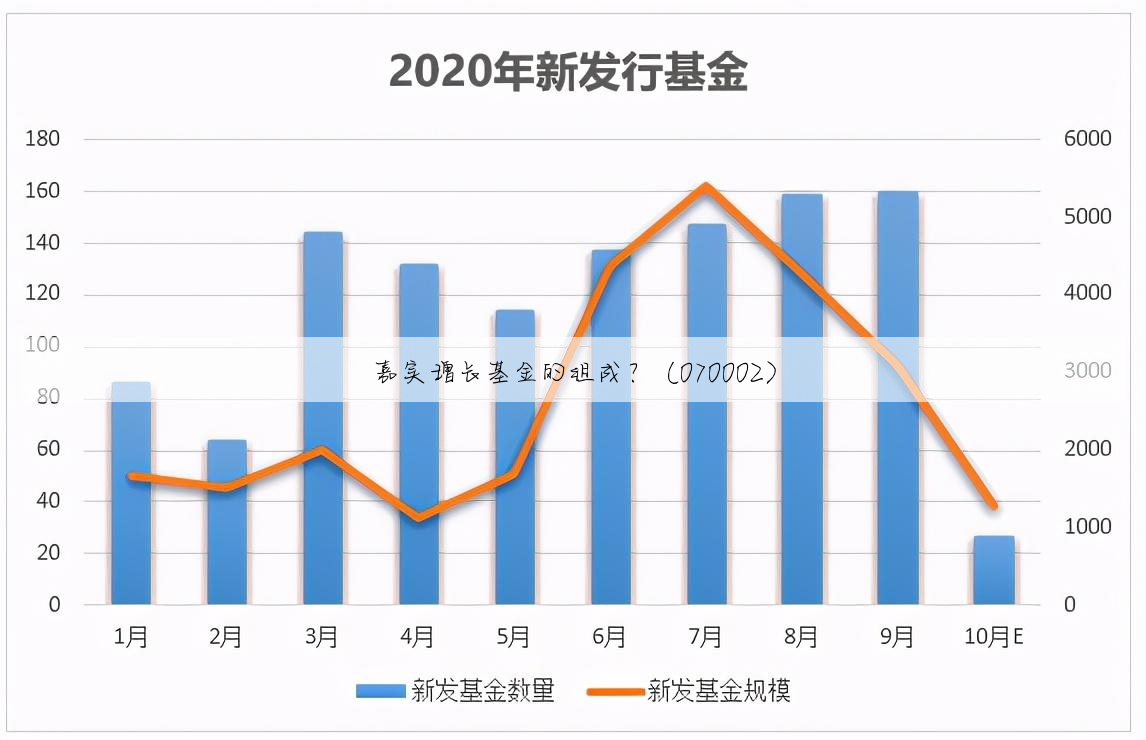 嘉实增长基金的组成?(070002)