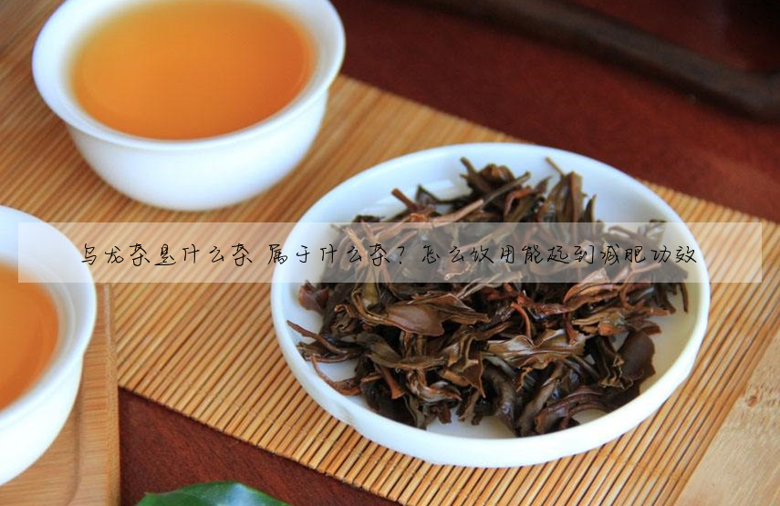 烏龍茶是什麼茶 屬于什麼茶?怎麼飲用能起到減肥功效