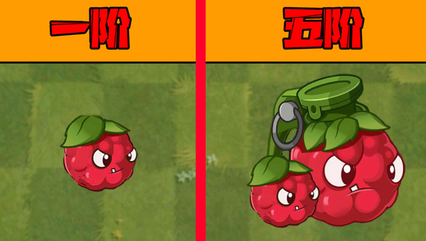 植物大战僵尸:不同阶段的桑葚爆破手的技能?五阶化身无尽神器!