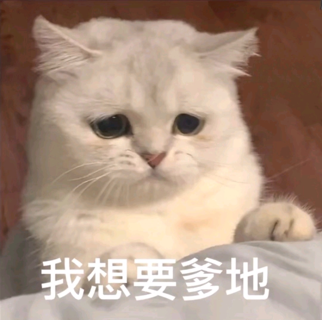 妈宝 爸宝 表情包
