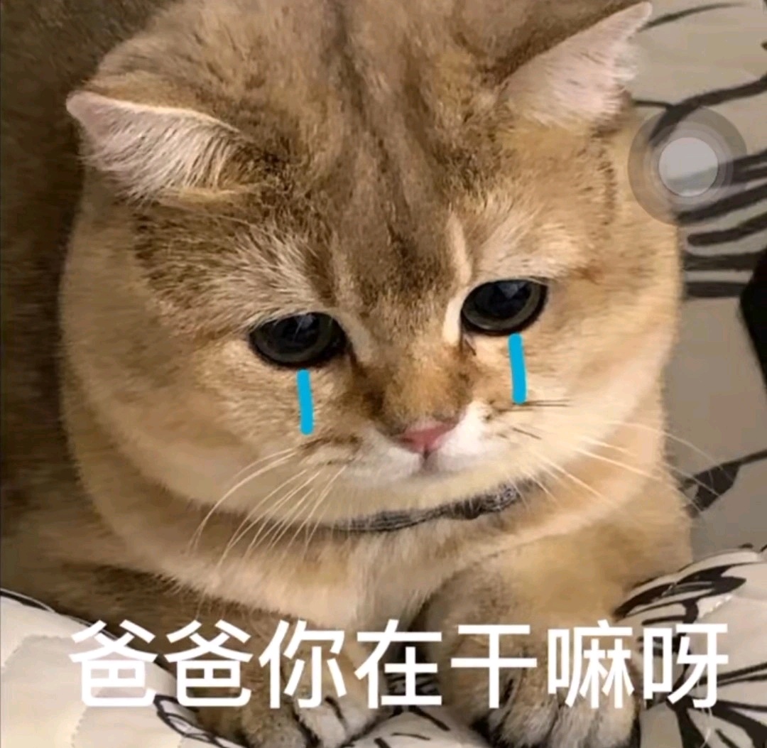妈宝 爸宝 表情包
