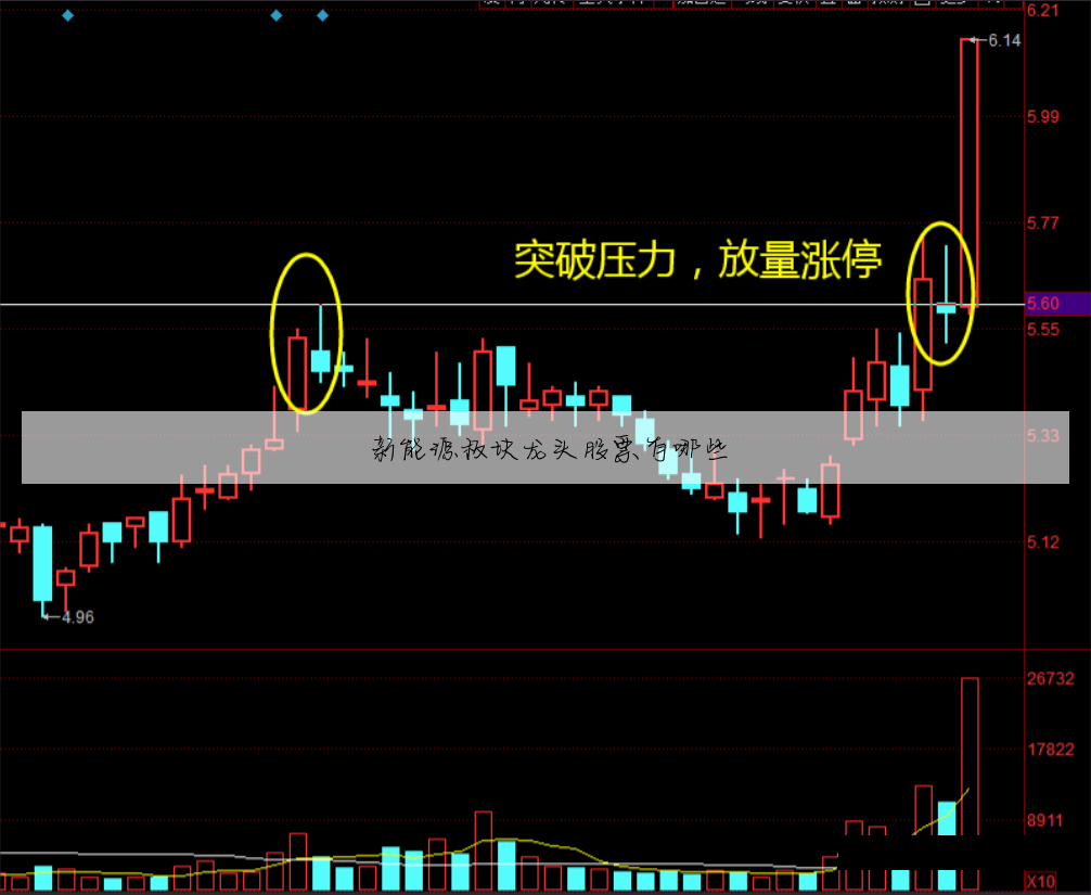 新能源板块龙头股票有哪些