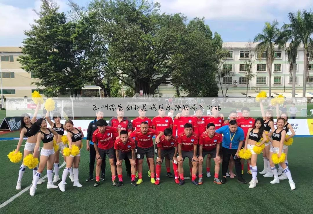 苏州锦富新材足球俱乐部的球队介绍