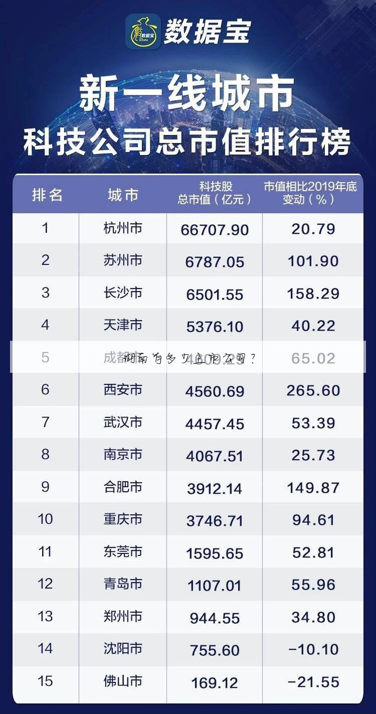 湖南有多少上市公司?