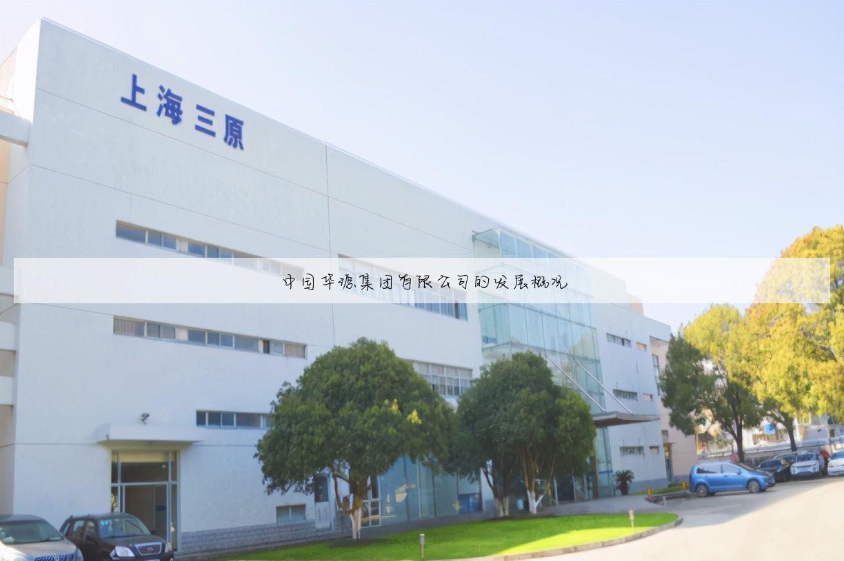 中国华源集团有限公司的发展概况