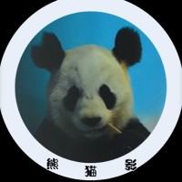 熊猫影最新文章