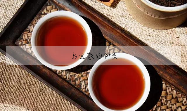 烏龍茶的種類