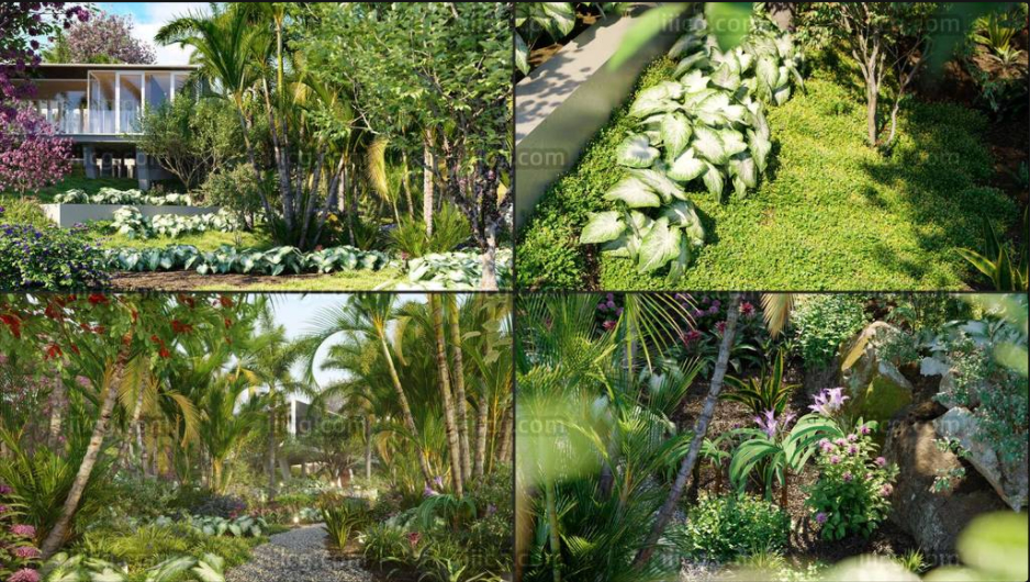 巴西家庭和花园植物 Globe plants – Bundle 32 – Brazilian Home & Garden Plants