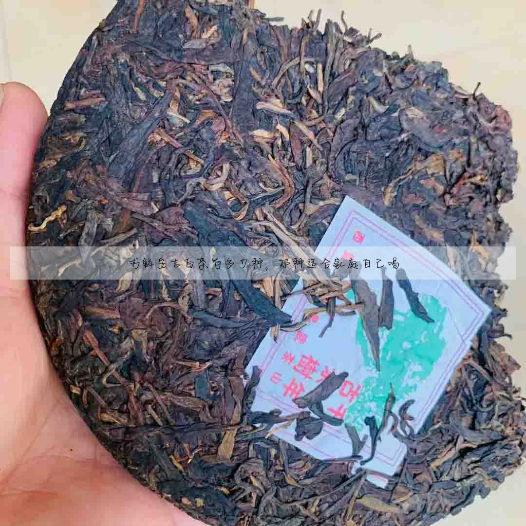 求解安吉白茶有多少種,那種适合家庭自己喝