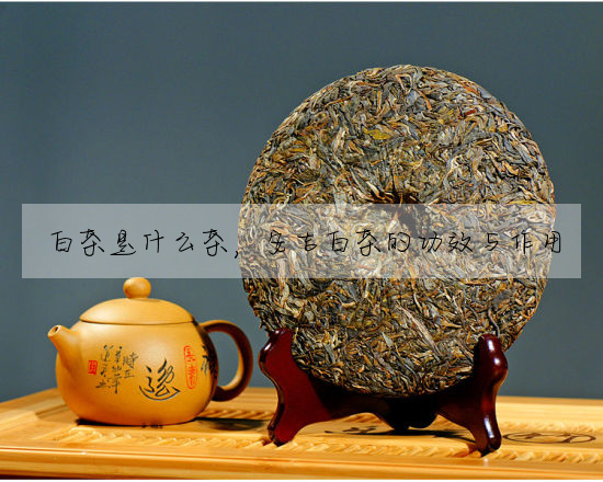 白茶是什麼茶，安吉白茶的功效與作用