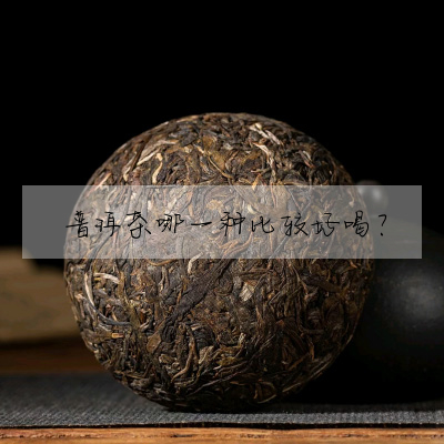 普洱茶哪一種比較好喝?