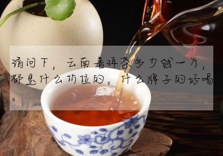請問下，雲南普洱茶多少錢一斤，都是什麼價位的。什麼牌子的好喝。