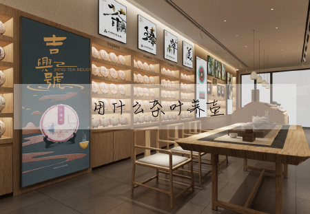 用什麼茶葉養壺