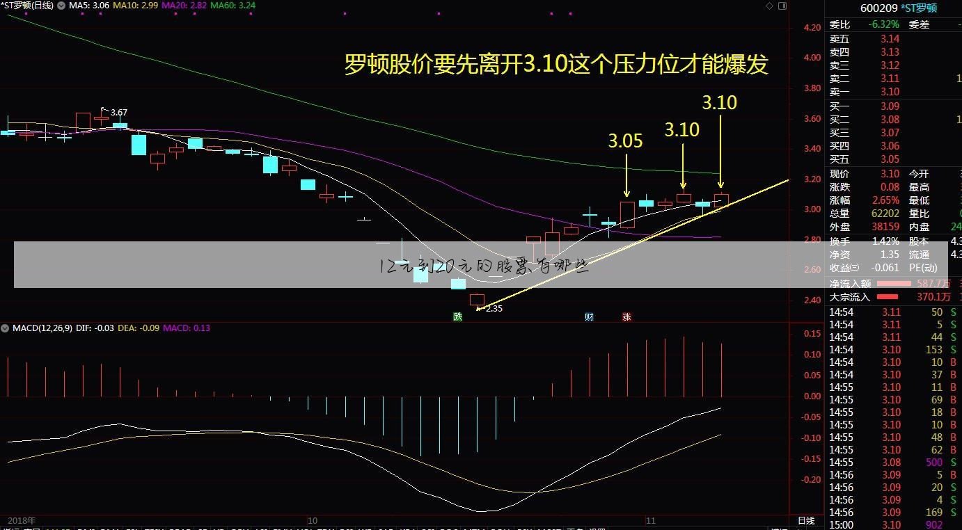 l2元到20元的股票有哪些