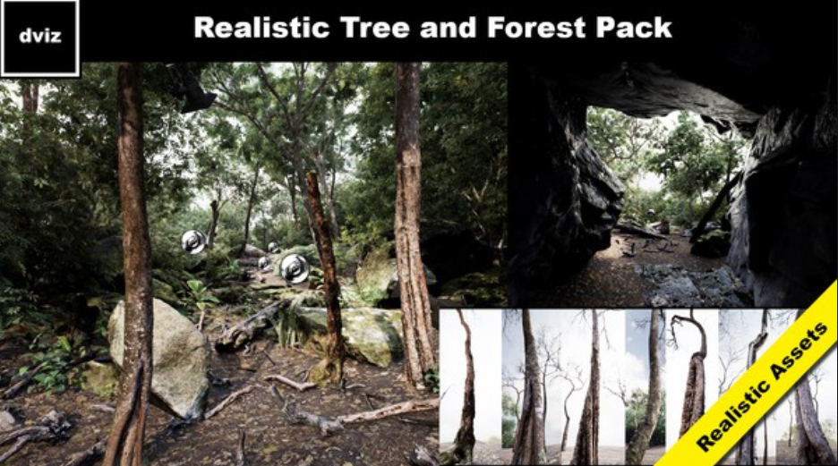【UE4】真实的森林植物包 Trees: Realistic Forest Plants Pack