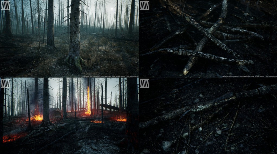 燃烧森林生物群系 Burned Dead Forest Biome