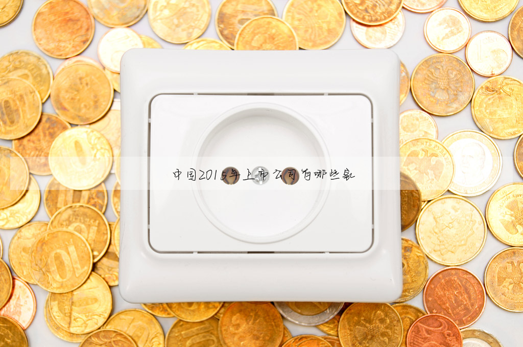 中國2015年上市公司有哪些家