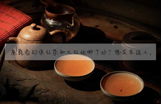 康露春的滇紅茶和大紅袍哪個好?想買來送人。