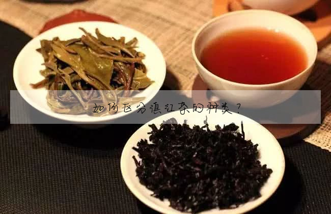 如何區分滇紅茶的種類?