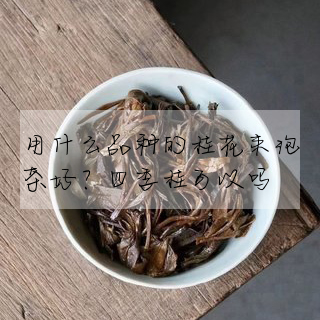 用什麼品種的桂花來泡茶好?四季桂可以嗎