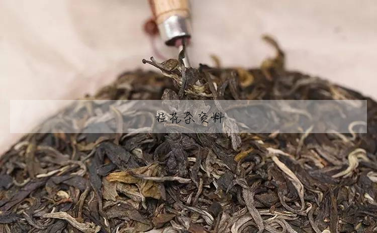 桂花茶資料