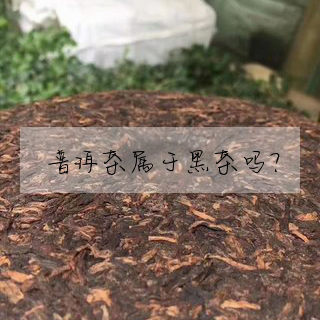 普洱茶屬于黑茶嗎?