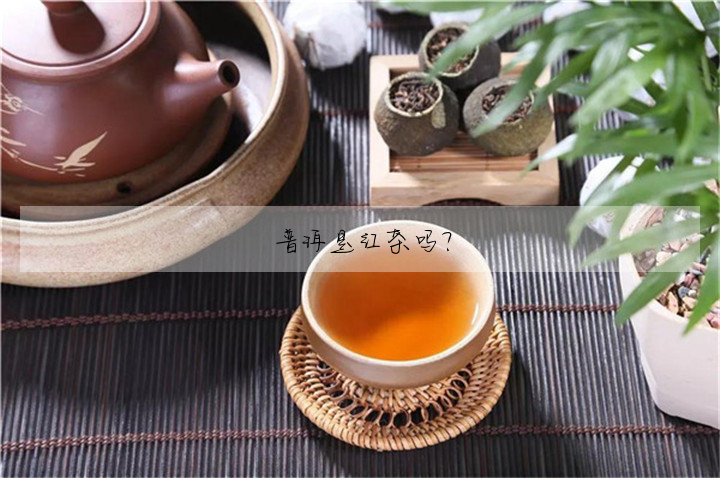 普洱是紅茶嗎?
