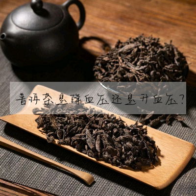 普洱茶是降血壓還是升血壓?