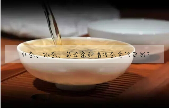 紅茶、綠茶、烏龍茶和普洱茶有何區别?