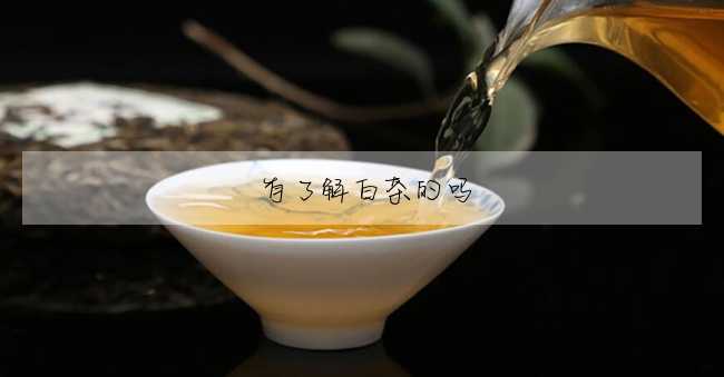 有了解白茶的嗎