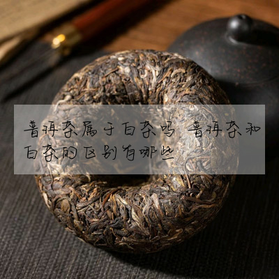普洱茶屬于白茶嗎 普洱茶和白茶的區别有哪些
