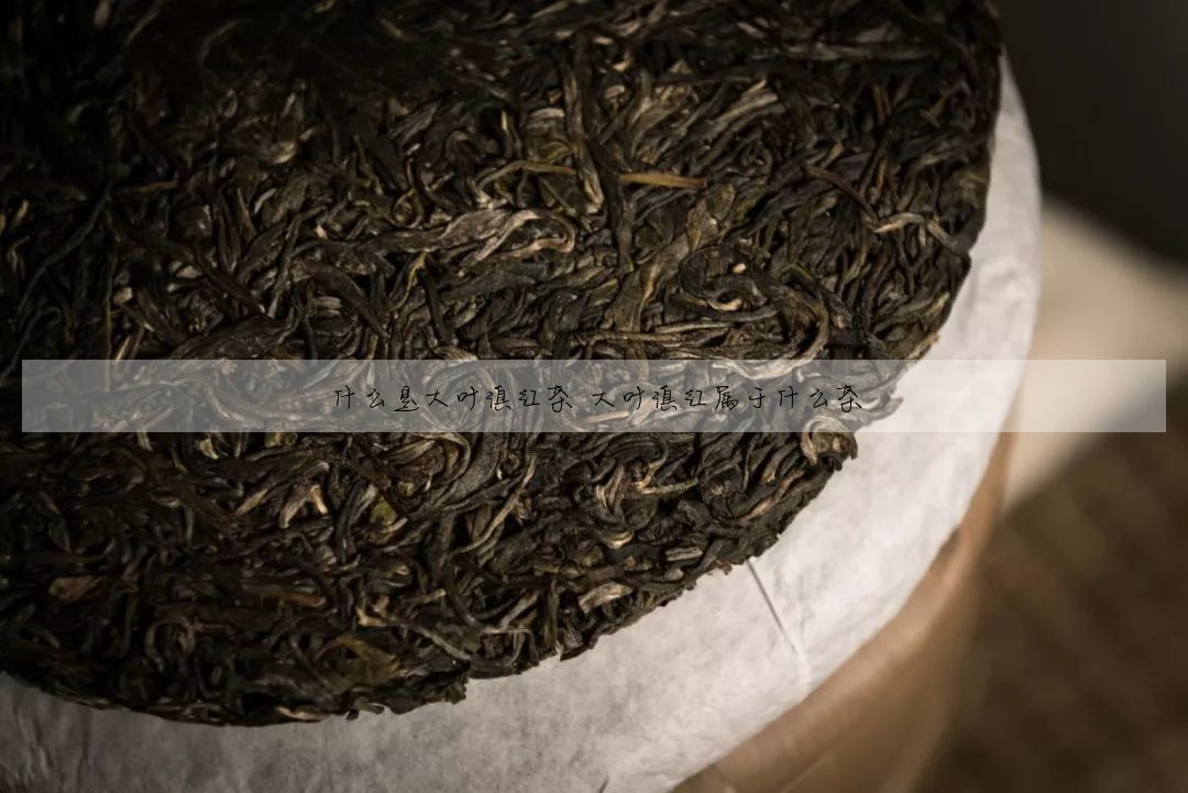 什麼是大葉滇紅茶 大葉滇紅屬于什麼茶