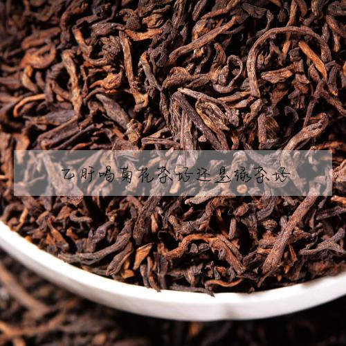 乙肝喝菊花茶好還是綠茶好