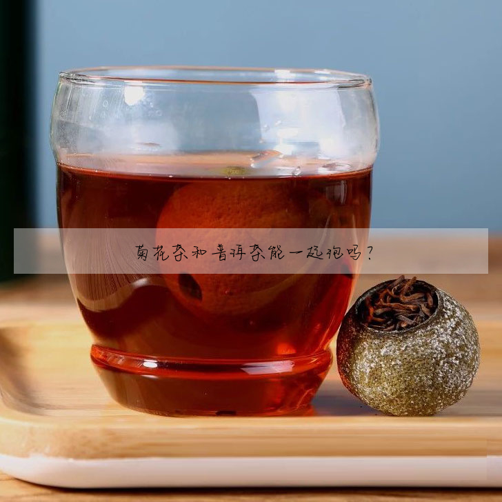 菊花茶和普洱茶能一起泡嗎?