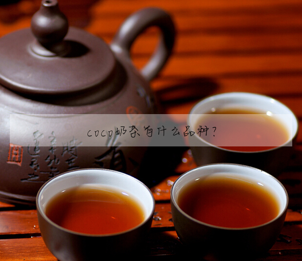 coco奶茶有什麼品種?
