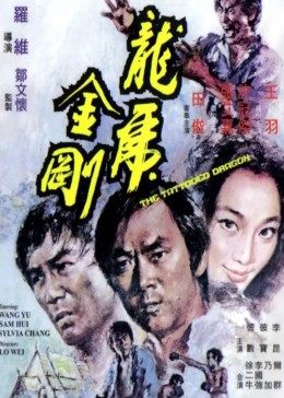 《日本女佣的秘密》BD高清在线观看 - 日本女佣的秘密高清电影免费在线观看