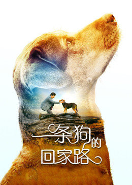 《猫咪吴邪的乡下生活》 - 在线电影 - 免费版高清在线观看 - 在线观看BD