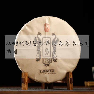 從湖州到安吉車站後怎麼去竹博園