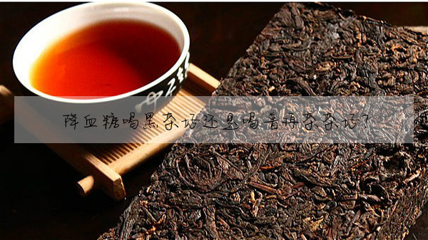 降血糖喝黑茶好還是喝普洱茶茶好?