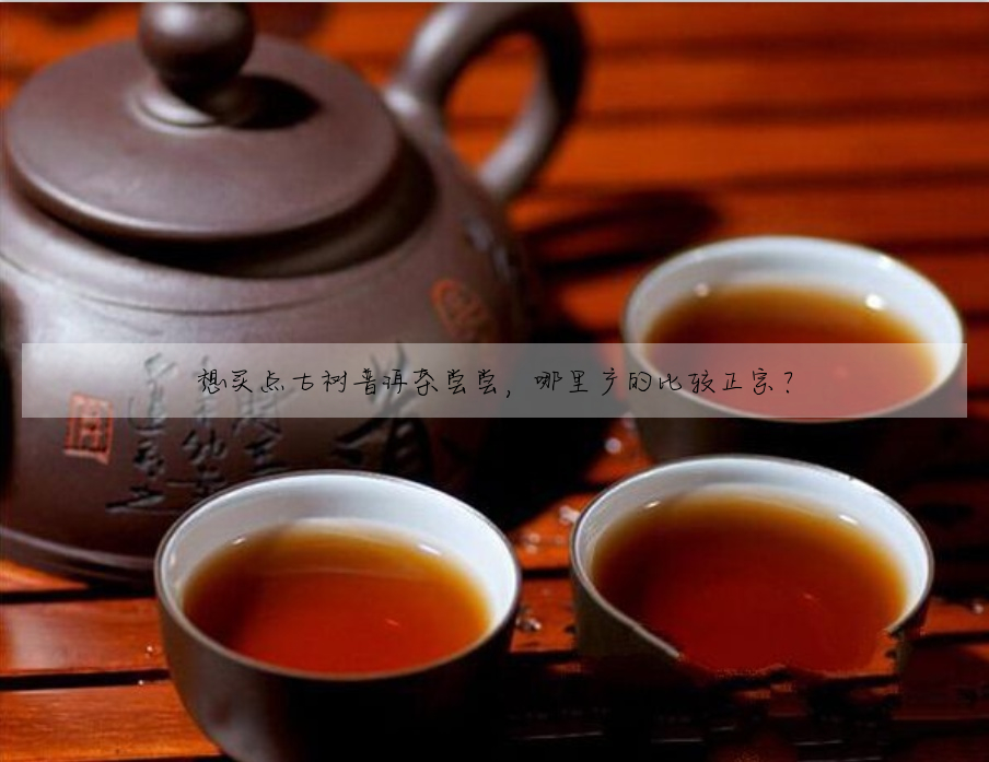 想買點古樹普洱茶嘗嘗，哪裡産的比較正宗？