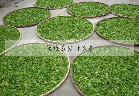 南靖縣出什麼茶