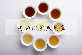 丹桂的發展前景