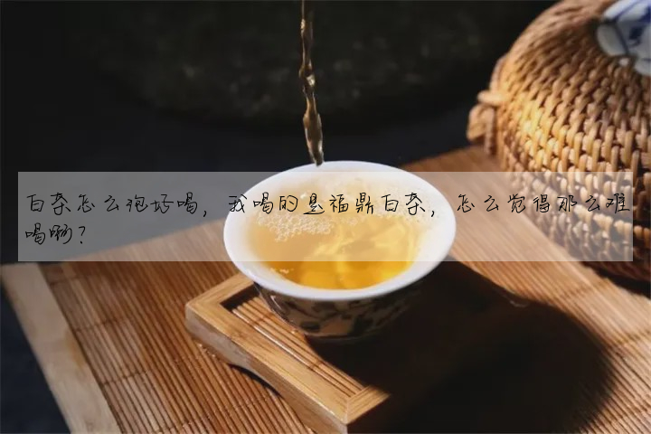 白茶怎麼泡好喝，我喝的是福鼎白茶，怎麼覺得那麼難喝啊？